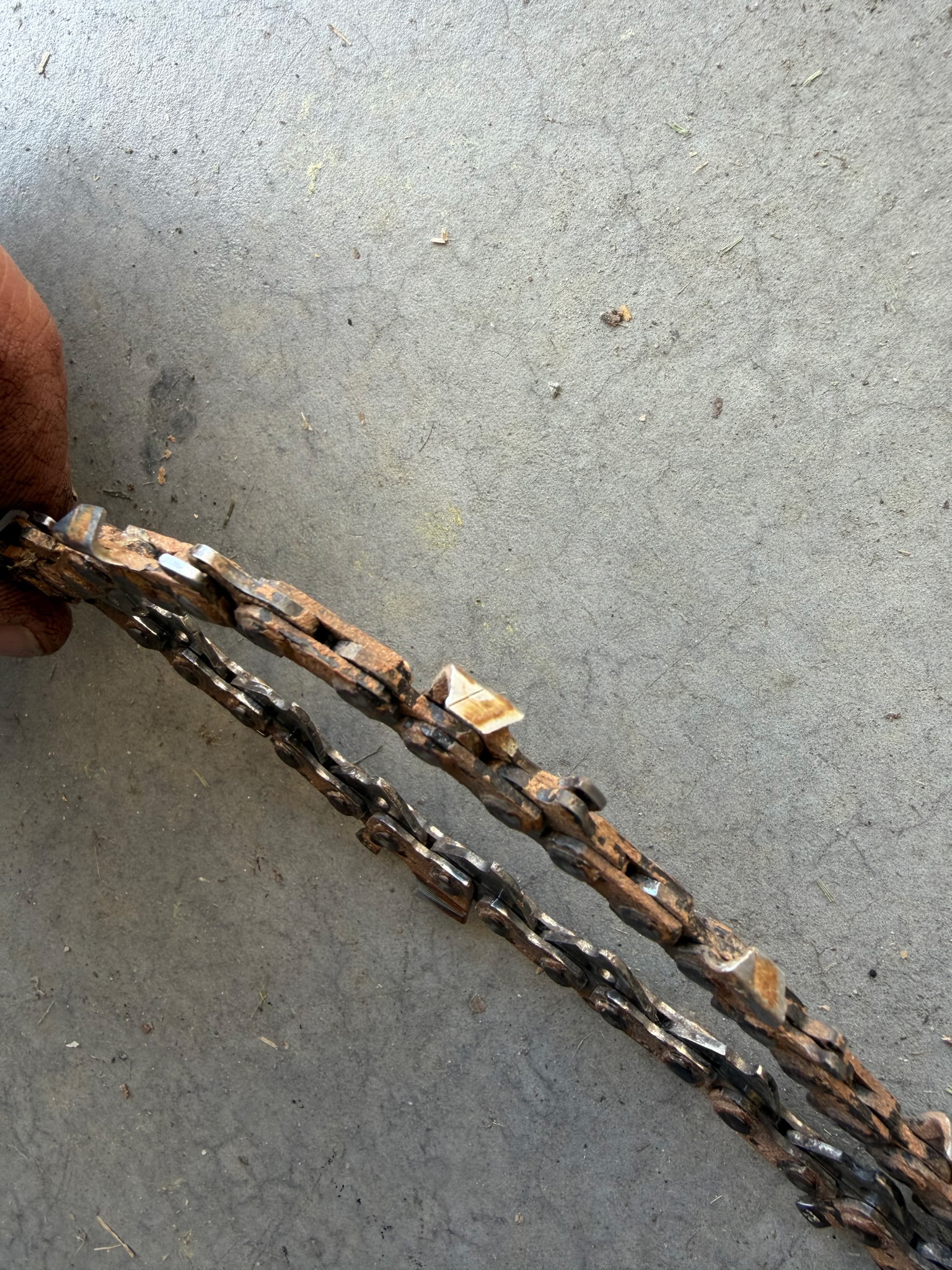 Before chainsaw, mower blade, and tool sharpening photo placeholder